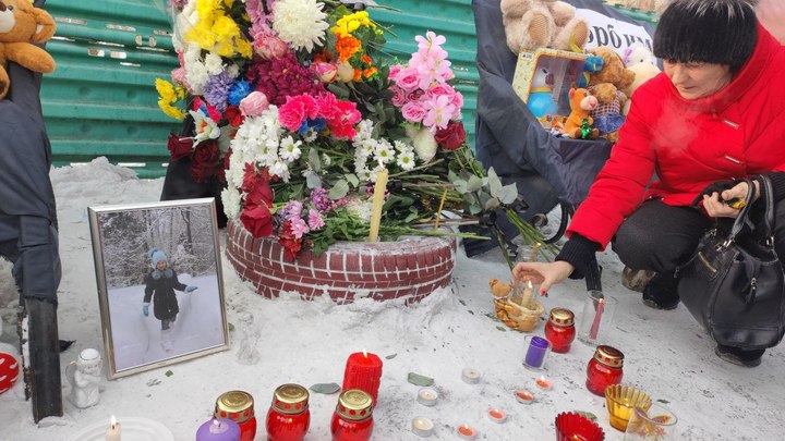 В бюджет Забайкалья заложили лишь половину средств, требуемых на отлов собак