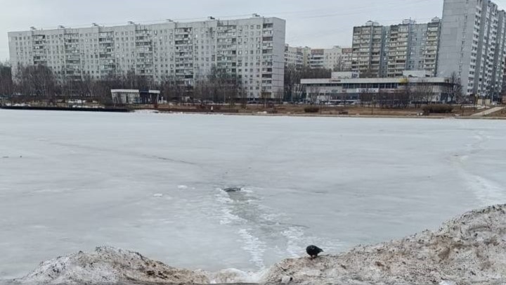 Женщина погибла подо льдом в московском пруду