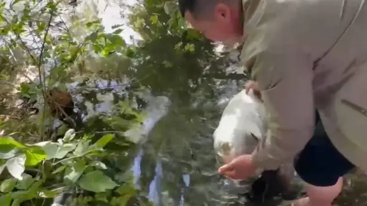 Мигрант получил 10 лет за убийство и расчленение соотечественника в Новосибирске