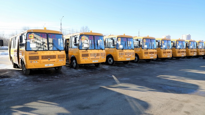 Каким школам Владимирской области достались в подарок 35 новых автобусов