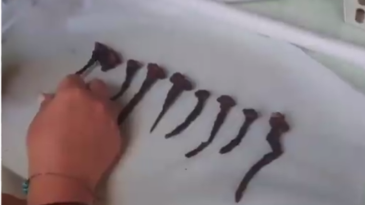 Древний горшок с коваными гвоздями обнаружили археологи в поселке под Анапой