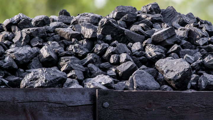Польша нашла удобное решения для обхода эмбарго на уголь из России