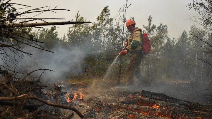 И пусть весь лес подождёт: Чиновники бросили Забайкалье на время ЧС - мощные пожары не помешали отпуску