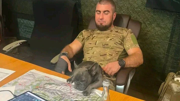 Полковник ВСУ Манько подписан на профиль с описанием «Быть русским — гордо» Полковник ВСУ Манько подписан на профиль с описанием «Быть русским — гордо»