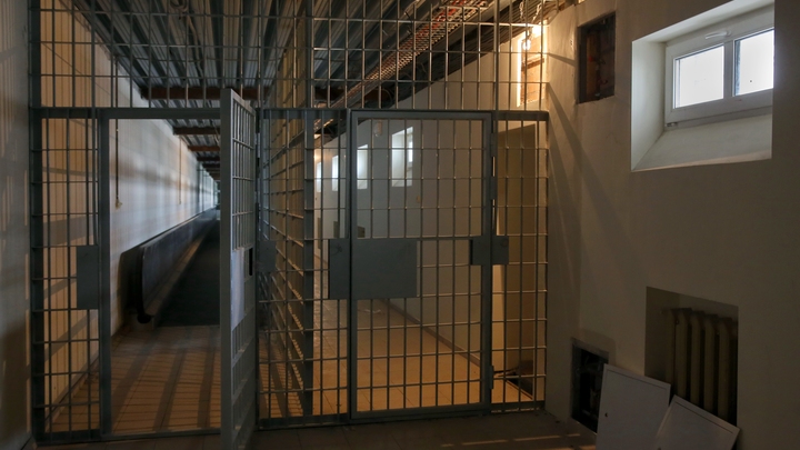 Без комментариев: тракторист молча сел в СИЗО за изнасилование ребенка под мостом в Петербурге