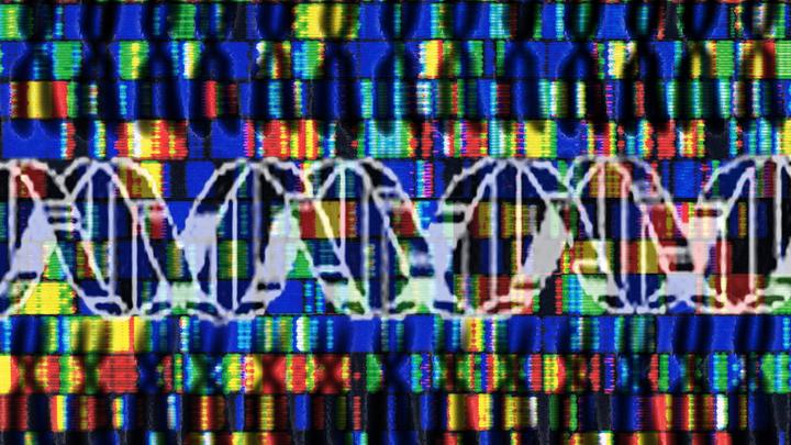 Шоу продолжается: На яхте, связанной с подрывом Северных потоков, нашли ДНК диверсантов