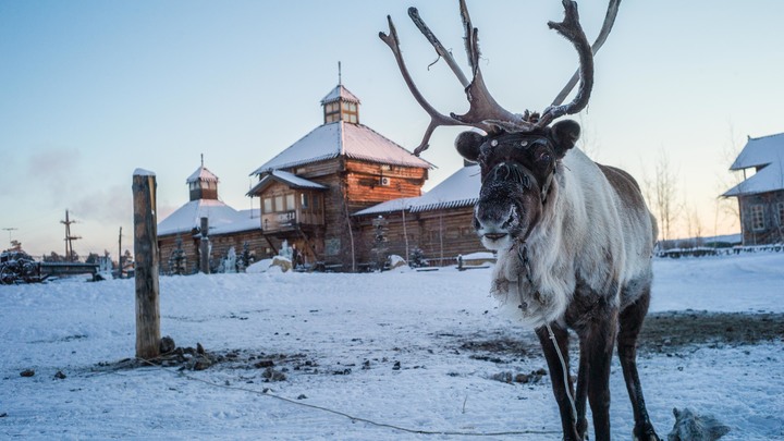 Нашла сотовый в сапоге: Twitter МВД Якутии назвали самым интересным, крутым и забавным государственным аккаунтом в России