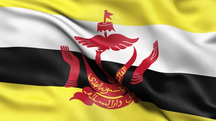 Глава федерации футбола Брунея ушёл в отставку после поражения от России