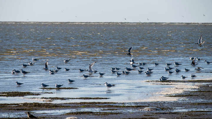 Замысел Украины разоблачён: За стычкой в Азовском море может последовать оборонительная война