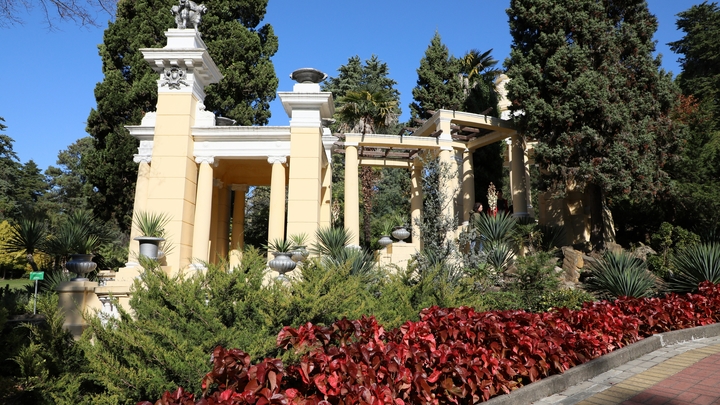 Сочи стал самым востребованным авианаправлением в июле