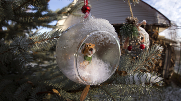 Синоптик сравнил зиму в Москве с тёплым сэндвичем