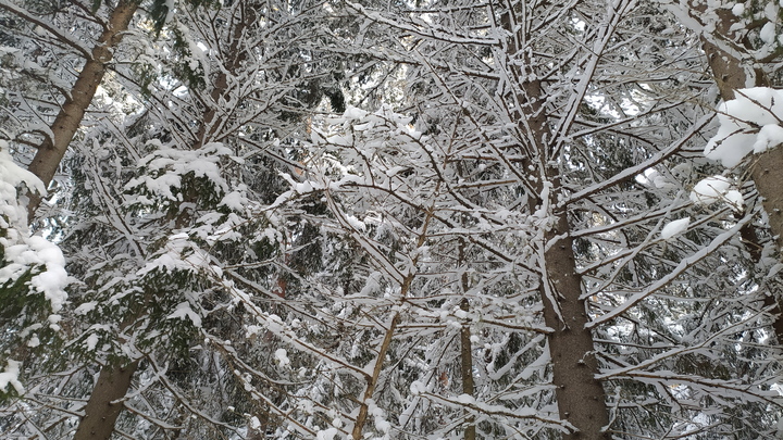 Народные приметы на 22 декабря – день святой Анны, матери Девы Марии: что можно и нельзя делать