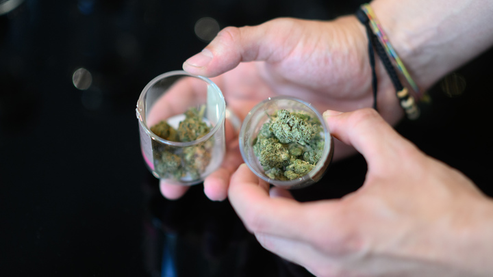 Полицейские нашли в холодильнике энергодарца пакет конопли