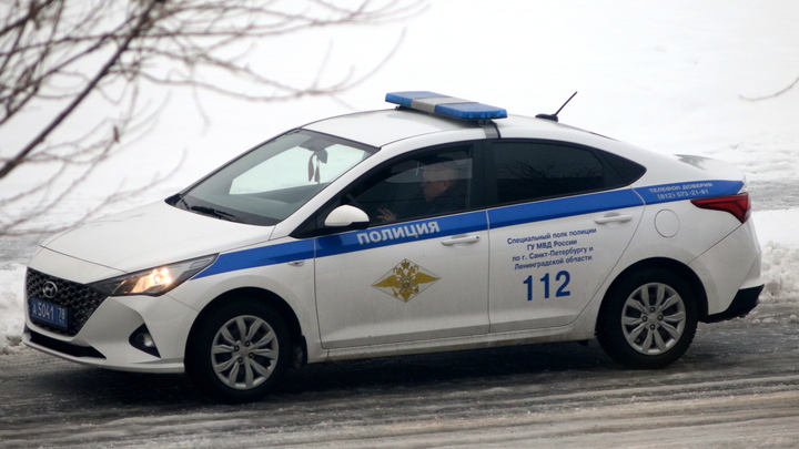 В петербургском ТЦ ссора из-за неправильного ценника переросла в драку