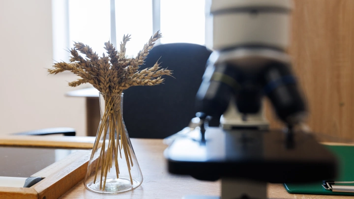 Учёные сняли светящийся шар на глубине 3300 метров у Аляски