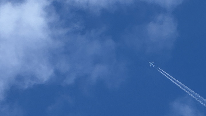 Страховщик отказал вдове бортпроводника Smartavia в 8,6 млн рублей