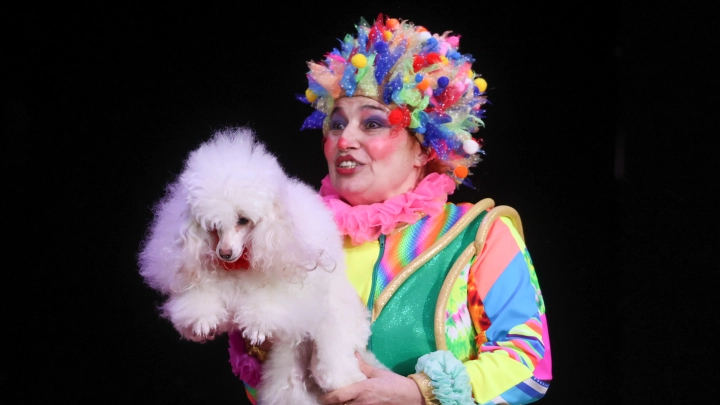 В России заявили о резкой нехватке профессиональных клоунов