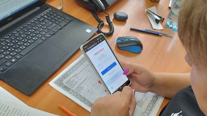 Житель Новосибирской области не смог проголосовать на выборах через приложение