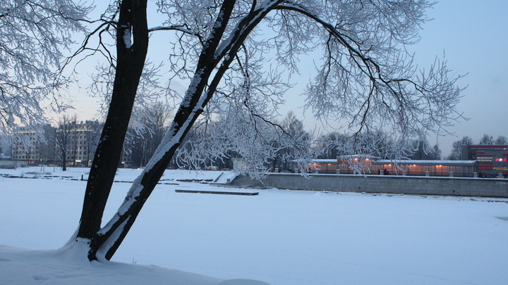 В Подмосковье пропал замминистра юстиции на пенсии: Его ищут водолазы