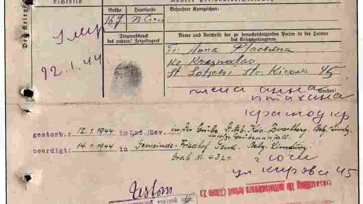 В Бельгии найдена могила сочинца, погибшего в концлагере в 1944 году