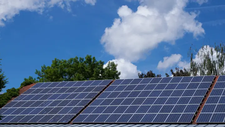 Ты должен был бороться с загрязнением, а не примкнуть к нему! Солнечные батареи не так уж безопасны для природы.