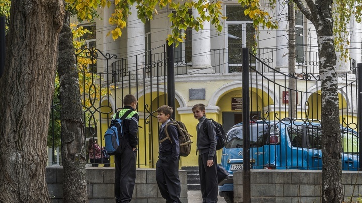 Волгоградцы выступили против арочных металлодетекторов и турникетов в школах
