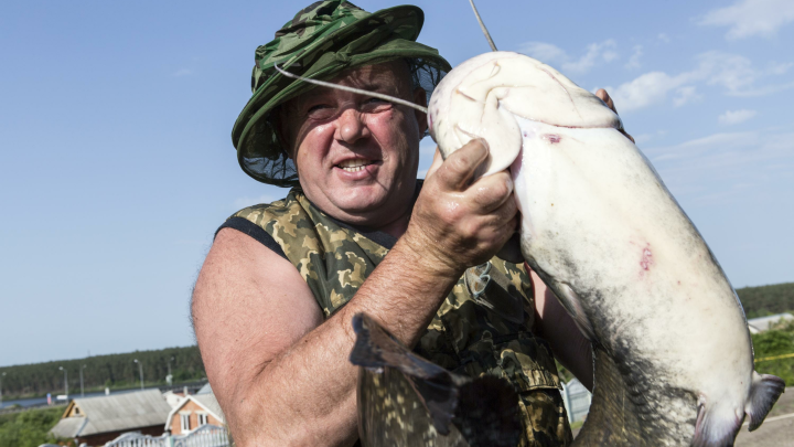 Гигантский улов не влез на весы: сом-монстр оставил рыбака без рекорда