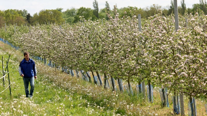 Режим ЧС введён в Ростовской области. Виноваты капризы природы
