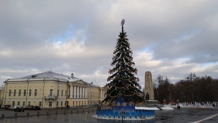 Во Владимире 15-летнюю ель с Соборной площади отремонтируют за полтора миллиона рублей