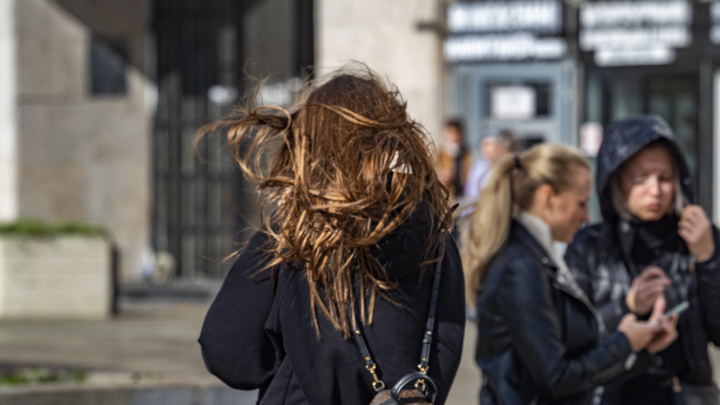 В Краснодарском крае прогнозируют опасный ветер