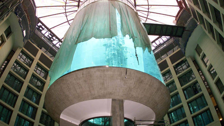 Рукотворная трагедия: Самый большой аквариум Берлина лопнул. Экозащитники мстят за 1,5 тысячи рыб