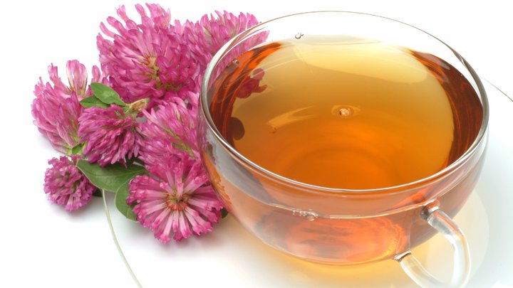 Вкусная защита от омикрона: Травница назвала три растения для укрепления иммунитета