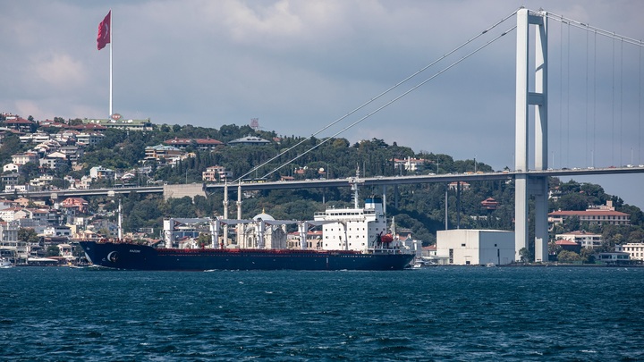 Оценка черноморской инициативы на местах: В МИД России объявили о новом визите в Стамбул