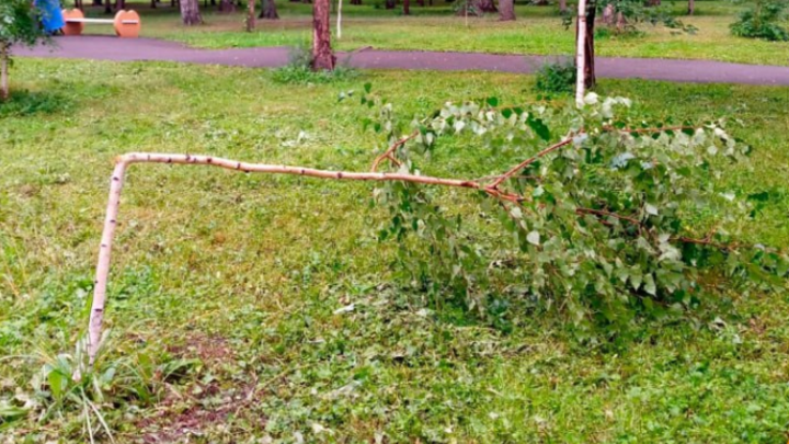 В парках Новосибирска участились случаи вандализма