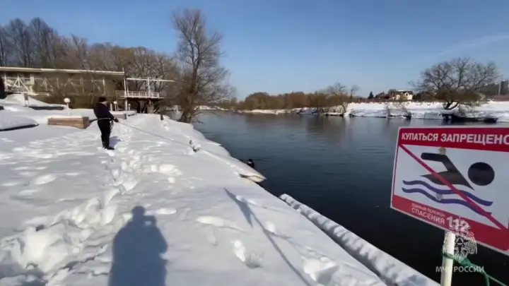 Тело пропавшей в Звенигороде 13-летней девочки тоже найдено