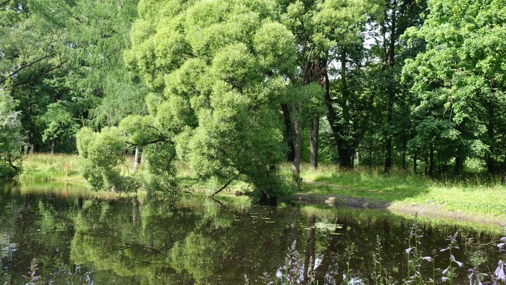 Парк со смотровой площадкой появится возле ручья Суховского в Кемерове