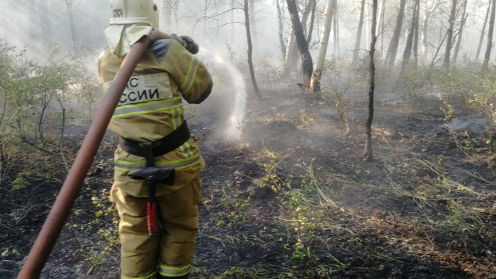 В Зауралье сгорело 600 гектаров леса