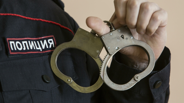 К Новому году полицейские закупят еще больше наручников «Нежность»