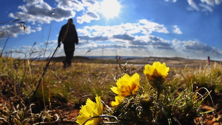 В Москве объявили экстренное предупреждение из-за жары