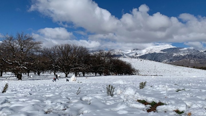 ЮАР как Россия: В Африке выпал аномальный снегопад