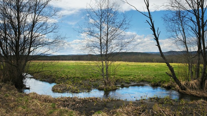 Село в Подмосковье в шаге от экологического бедствия из-за незаконных хостелов