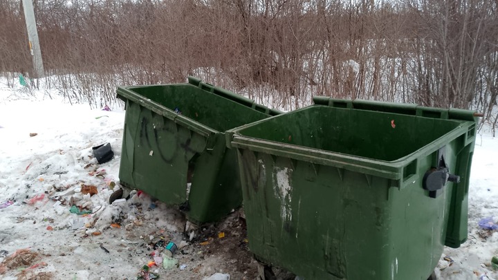 Вывоз мусора в Самарской области: С подвижной техникой всё в порядке, есть вопросы по контейнерам