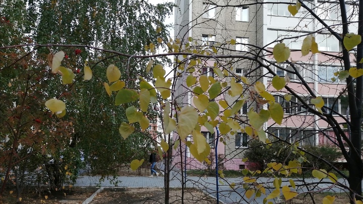 В Курганской области в понедельник усилится ветер и похолодает