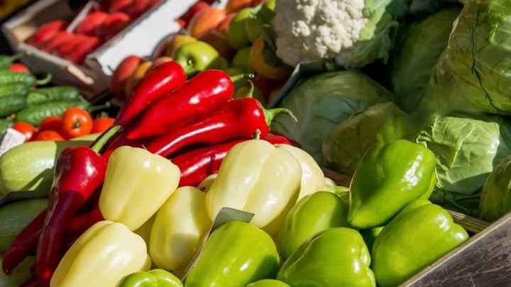 В Краснодаре началась торговля на 10 ярмарках выходного дня