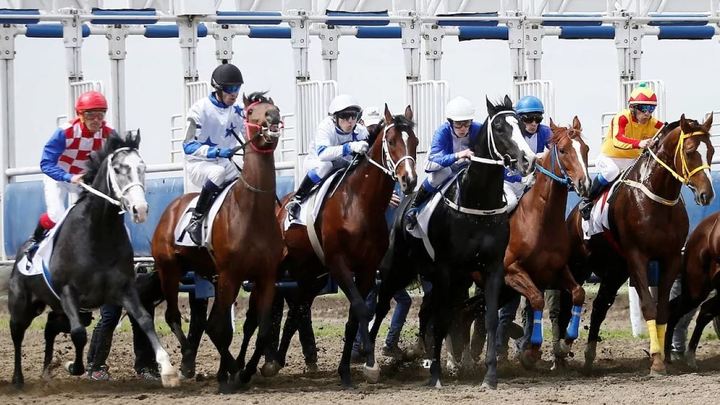 Краснодарский ипподром открывает скаковой сезон