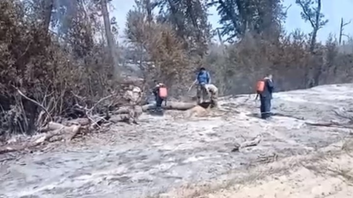 Крупный лесной пожар в Усть-Донецком районе потушили