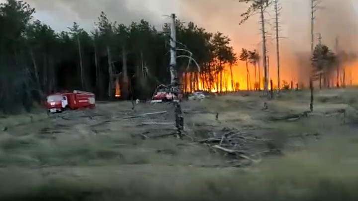 Появилось видео тушения лесного пожара в Каменском районе 22 августа