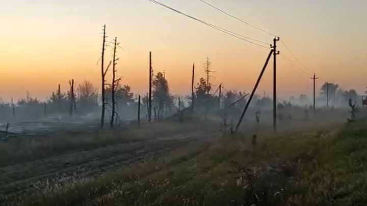 Лесной пожар в Каменском районе потушили на площади 54 гектара