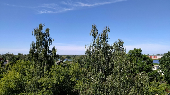 Народные приметы на 16 июня 2024: что можно и нельзя делать в день Лукьяна Ветряка