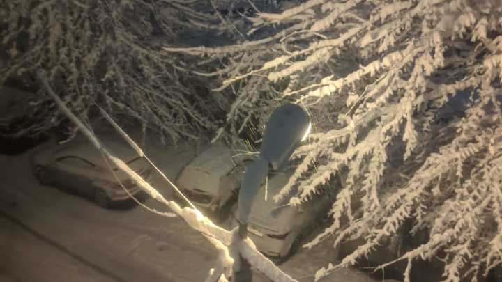 Погода в Ростове-на-Дону 15 февраля 2023: прогноз синоптиков